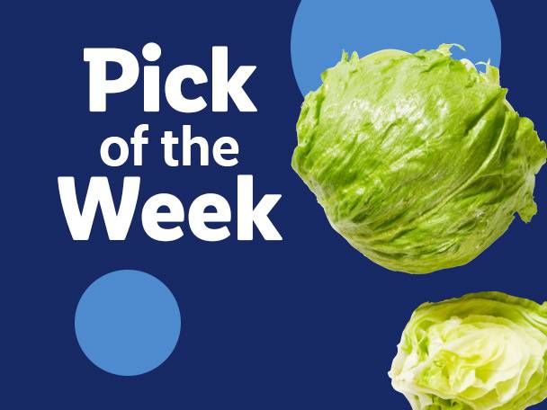 Pick of the Week: Fresh iceberg lettuce on a blue background with blue circles.